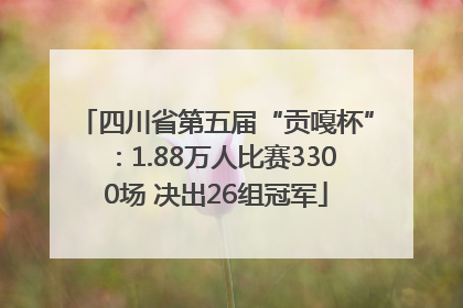 四川省第五届“贡嘎杯”：1.88万人比赛3300场 决出26组冠军