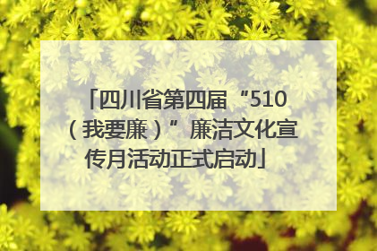 四川省第四届“510（我要廉）”廉洁文化宣传月活动正式启动