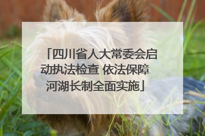 四川省人大常委会启动执法检查 依法保障河湖长制全面实施
