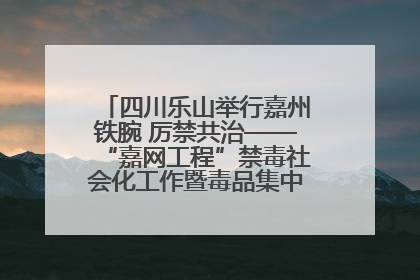 四川乐山举行嘉州铁腕 厉禁共治——“嘉网工程”禁毒社会化工作暨毒品集中销毁启动仪式