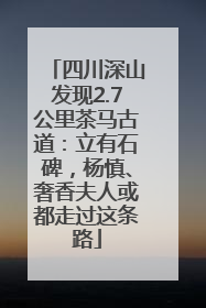 四川深山发现2.7公里茶马古道：立有石碑，杨慎、奢香夫人或都走过这条路