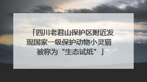 四川老君山保护区附近发现国家一级保护动物小灵猫 被称为“生态试纸”