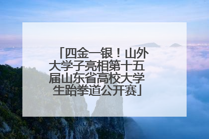 四金一银！山外大学子亮相第十五届山东省高校大学生跆拳道公开赛