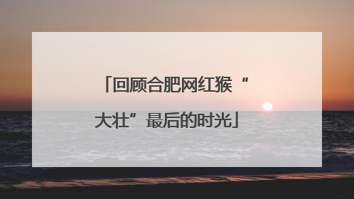 回顾合肥网红猴“大壮”最后的时光