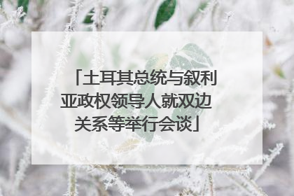 土耳其总统与叙利亚政权领导人就双边关系等举行会谈