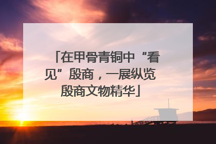在甲骨青铜中“看见”殷商，一展纵览殷商文物精华