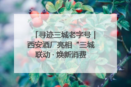 寻迹三城老字号｜西安酒厂亮相“三城联动 · 焕新消费”老字号嘉年华 共话品牌传承与创新