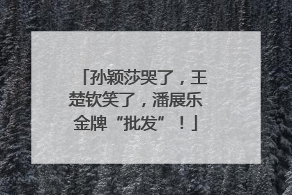 孙颖莎哭了，王楚钦笑了，潘展乐金牌“批发”！