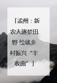 孟州：新农人逐梦田野 绘就乡村振兴“丰收曲”