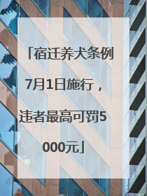宿迁养犬条例7月1日施行，违者最高可罚5000元