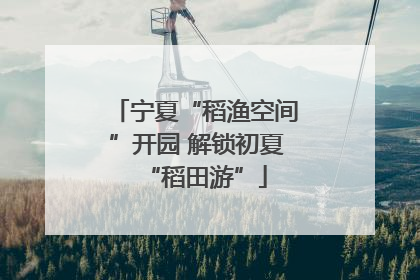 宁夏“稻渔空间”开园 解锁初夏“稻田游”