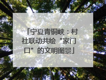 宁夏青铜峡：村社联动共绘“家门口”的文明图景