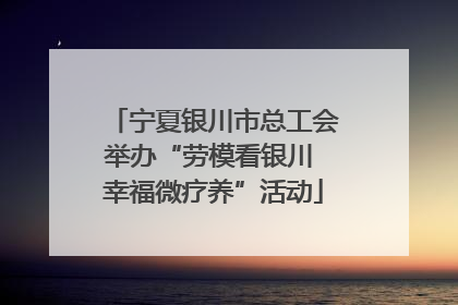 宁夏银川市总工会举办“劳模看银川 幸福微疗养”活动