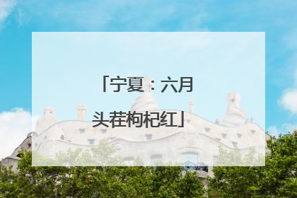 宁夏：六月头茬枸杞红