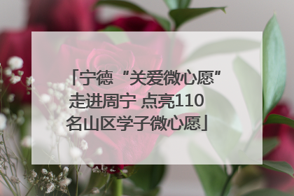 宁德“关爱微心愿”走进周宁 点亮110名山区学子微心愿