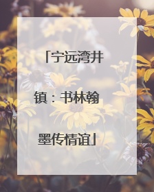 宁远湾井镇：书林翰墨传情谊