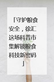 守护粮食安全，徐汇这场科普市集解锁粮食科技新密码