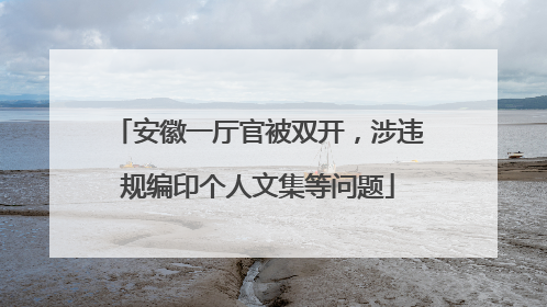 安徽一厅官被双开，涉违规编印个人文集等问题