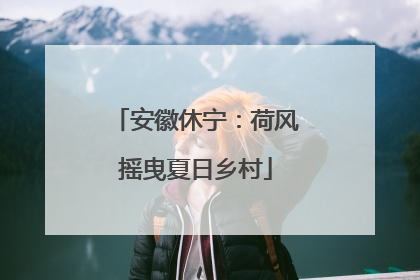 安徽休宁：荷风摇曳夏日乡村