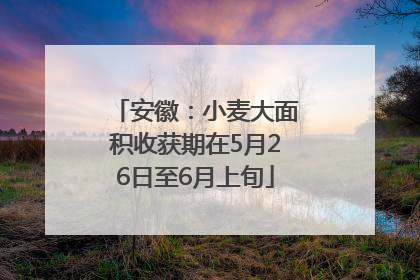 安徽：小麦大面积收获期在5月26日至6月上旬
