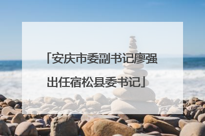 安庆市委副书记廖强出任宿松县委书记