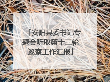 安阳县委书记专题会听取第十二轮巡察工作汇报