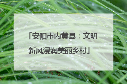 安阳市内黄县：文明新风浸润美丽乡村