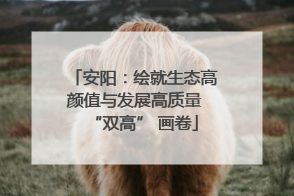 安阳：绘就生态高颜值与发展高质量 “双高” 画卷