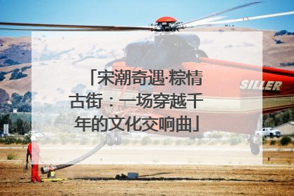 宋潮奇遇·粽情古街：一场穿越千年的文化交响曲