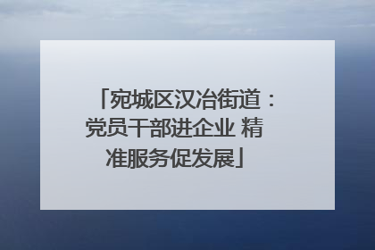 宛城区汉冶街道：党员干部进企业 精准服务促发展