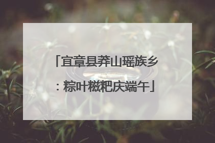 宜章县莽山瑶族乡：粽叶糍粑庆端午