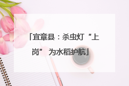 宜章县：杀虫灯“上岗” 为水稻护航