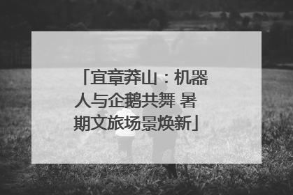 宜章莽山：机器人与企鹅共舞 暑期文旅场景焕新