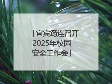 宜宾筠连召开2025年校园安全工作会