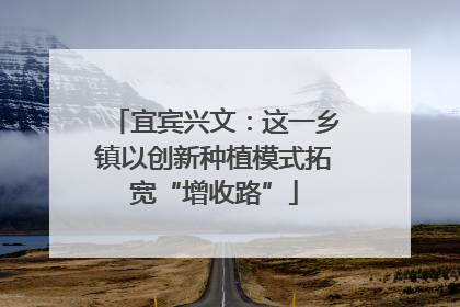 宜宾兴文：这一乡镇以创新种植模式拓宽“增收路”