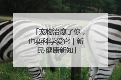 宠物治愈了你，也要科学爱它｜新民·健康新知