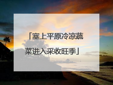 塞上平原冷凉蔬菜进入采收旺季