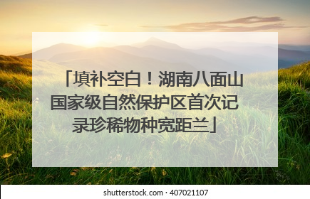 填补空白！湖南八面山国家级自然保护区首次记录珍稀物种宽距兰