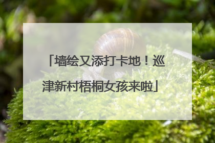 墙绘又添打卡地！巡津新村梧桐女孩来啦