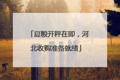 夏粮开秤在即，河北收购准备就绪