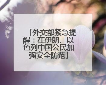 外交部紧急提醒：在伊朗、以色列中国公民加强安全防范