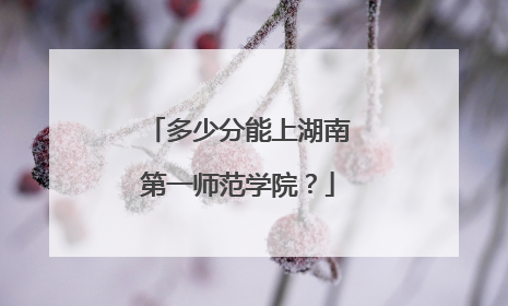 多少分能上湖南第一师范学院？