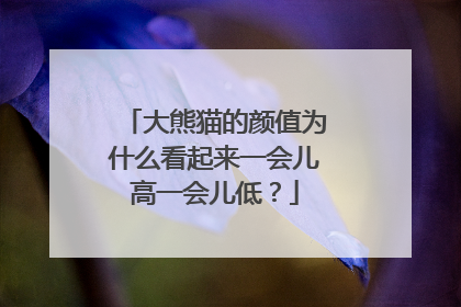 大熊猫的颜值为什么看起来一会儿高一会儿低？