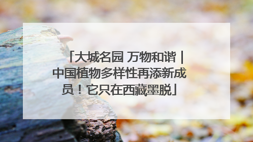 大城名园 万物和谐｜中国植物多样性再添新成员！它只在西藏墨脱