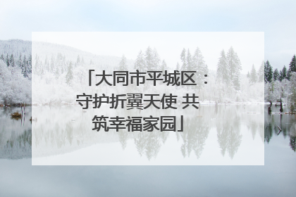 大同市平城区：守护折翼天使 共筑幸福家园