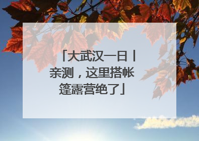大武汉一日丨亲测，这里搭帐篷露营绝了
