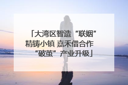 大湾区智造“联姻”精铸小镇 嘉禾借合作“破茧”产业升级