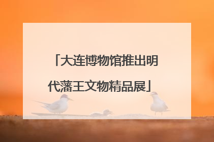 大连博物馆推出明代藩王文物精品展