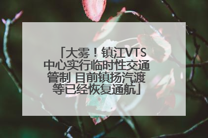 大雾！镇江VTS中心实行临时性交通管制 目前镇扬汽渡等已经恢复通航
