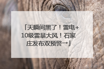 天瞬间黑了！雷电+10级雷暴大风！石家庄发布双预警→